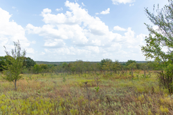 property photo for Gracyn Meadows Tract 6, 4.74 acres for sale in Okfuskee County, Oklahoma