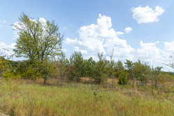 property photo for Gracyn Meadows Tract 6, 4.74 acres for sale in Okfuskee County, Oklahoma