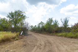 property photo for Gracyn Meadows Tract 6, 4.74 acres for sale in Okfuskee County, Oklahoma