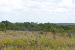 property photo for Gracyn Meadows Tract 6, 4.74 acres for sale in Okfuskee County, Oklahoma
