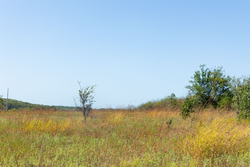 property photo for Gracyn Meadows Tract 7, 4.58 acres for sale in Okfuskee County, Oklahoma