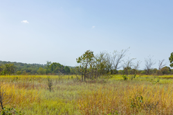 property photo for Gracyn Meadows Tract 7, 4.58 acres for sale in Okfuskee County, Oklahoma