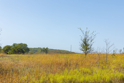 property photo for Gracyn Meadows Tract 7, 4.58 acres for sale in Okfuskee County, Oklahoma