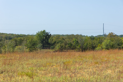 property photo for Gracyn Meadows Tract 8, 5.05 acres for sale in Okfuskee County, Oklahoma