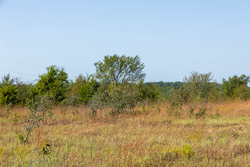 property photo for Gracyn Meadows Tract 8, 5.05 acres for sale in Okfuskee County, Oklahoma
