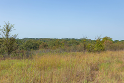 property photo for Gracyn Meadows Tract 8, 5.05 acres for sale in Okfuskee County, Oklahoma