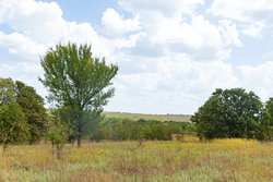 property photo for Gracyn Meadows Tract 9, 4.49 acres for sale in Okfuskee County, Oklahoma