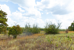 property photo for Gracyn Meadows Tract 9, 4.49 acres for sale in Okfuskee County, Oklahoma