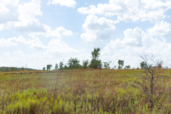property photo for Gracyn Meadows Tract 9, 4.49 acres for sale in Okfuskee County, Oklahoma