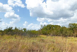 property photo for Gracyn Meadows Tract 9, 4.49 acres for sale in Okfuskee County, Oklahoma