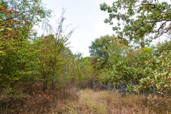 property photo for Gracyn Meadows Tract 9, 4.49 acres for sale in Okfuskee County, Oklahoma