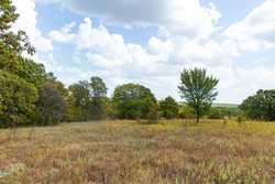 property photo for Gracyn Meadows Tract 9, 4.49 acres for sale in Okfuskee County, Oklahoma
