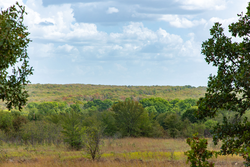 property photo for Gracyn Meadows Tract 9, 4.49 acres for sale in Okfuskee County, Oklahoma