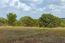 property photo for Gracyn Meadows Tract 9, 4.49 acres for sale in Okfuskee County, Oklahoma