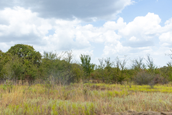 property photo for Gracyn Meadows Tract 9, 4.49 acres for sale in Okfuskee County, Oklahoma