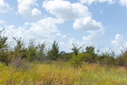 property photo for Gracyn Meadows Tract 9, 4.49 acres for sale in Okfuskee County, Oklahoma