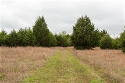 property photo for Moonrise Meadows Tract 1, 6.43 acres for sale in Okfuskee County, Oklahoma