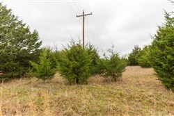 property photo for Moonrise Meadows Tract 1, 6.43 acres for sale in Okfuskee County, Oklahoma