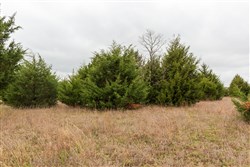 property photo for Moonrise Meadows Tract 1, 6.43 acres for sale in Okfuskee County, Oklahoma