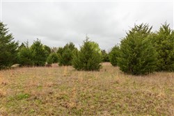 property photo for Moonrise Meadows Tract 1, 6.43 acres for sale in Okfuskee County, Oklahoma