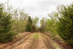 property photo for Moonrise Meadows Tract 11, 9.26 acres for sale in Okfuskee County, Oklahoma