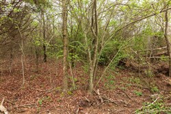 property photo for Moonrise Meadows Tract 11, 9.26 acres for sale in Okfuskee County, Oklahoma