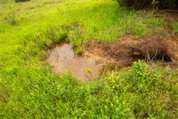 property photo for Moonrise Meadows Tract 18, 6.48 acres for sale in Okfuskee County, Oklahoma