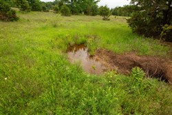 property photo for Moonrise Meadows Tract 18, 6.48 acres for sale in Okfuskee County, Oklahoma