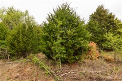 property photo for Moonrise Meadows Tract 18, 6.48 acres for sale in Okfuskee County, Oklahoma