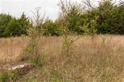 property photo for Moonrise Meadows Tract 18, 6.48 acres for sale in Okfuskee County, Oklahoma