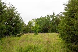 property photo for Moonrise Meadows Tract 4, 7.13 acres for sale in Okfuskee County, Oklahoma