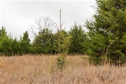 property photo for Moonrise Meadows Tract 4, 7.13 acres for sale in Okfuskee County, Oklahoma
