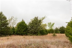 property photo for Moonrise Meadows Tract 4, 7.13 acres for sale in Okfuskee County, Oklahoma