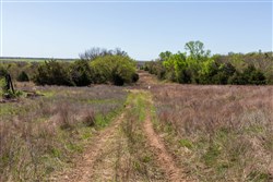 property photo for Prairie Grove Tract 18, 8.68 acres for sale in Okfuskee County, Oklahoma