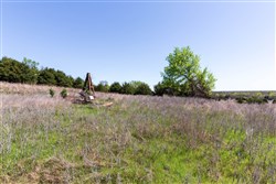 property photo for Prairie Grove Tract 18, 8.68 acres for sale in Okfuskee County, Oklahoma