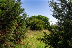 property photo for Prairie Grove Tract 18, 8.68 acres for sale in Okfuskee County, Oklahoma