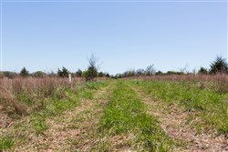property photo for Prairie Grove Tract 25, 7.37 acres for sale in Okfuskee County, Oklahoma