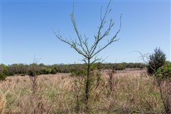 property photo for Prairie Grove Tract 25, 7.37 acres for sale in Okfuskee County, Oklahoma