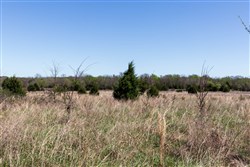 property photo for Prairie Grove Tract 25, 7.37 acres for sale in Okfuskee County, Oklahoma
