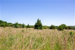 property photo for Prairie Grove Tract 25, 7.37 acres for sale in Okfuskee County, Oklahoma