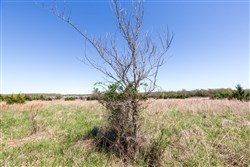 property photo for Prairie Grove Tract 25, 7.37 acres for sale in Okfuskee County, Oklahoma