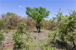 property photo for Allies Acres Tract 2, 5.05 acres for sale in Pittsburg County, Oklahoma
