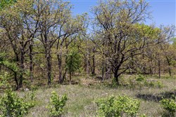 property photo for Allies Acres Tract 2, 5.05 acres for sale in Pittsburg County, Oklahoma
