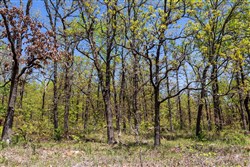 property photo for Allies Acres Tract 2, 5.05 acres for sale in Pittsburg County, Oklahoma