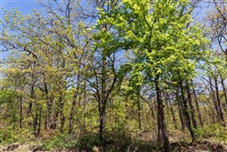 property photo for Allies Acres Tract 2, 5.05 acres for sale in Pittsburg County, Oklahoma