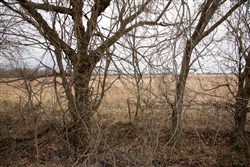 property photo for Canadian Plains Tract 10, 5 acres for sale in Pittsburg County, Oklahoma