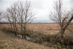 property photo for Canadian Plains Tract 12, 5 acres for sale in Pittsburg County, Oklahoma
