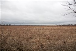 property photo for Canadian Plains Tract 12, 5 acres for sale in Pittsburg County, Oklahoma