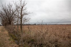 property photo for Canadian Plains Tract 12, 5 acres for sale in Pittsburg County, Oklahoma
