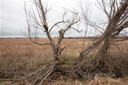 property photo for Canadian Plains Tract 12, 5 acres for sale in Pittsburg County, Oklahoma